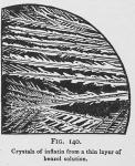 Fig. 140. Crystals of inflatin