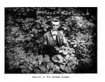 Fig. 1. Stanton delights in his ginseng garden.