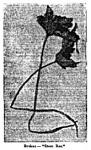Fig. 32. Broken - Stem Rot.