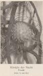 Bild: Cereus Grandiflorus 1