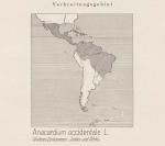Karte: Anacardium Occidentale