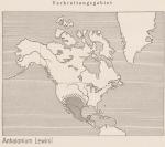 Karte: Anhalonium Lewinii