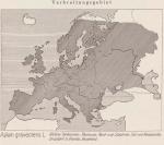 Karte: Apium Graveolens