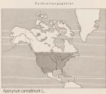 Karte: Apocynum Cannabinum