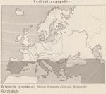 Karte: Artemisia Abrotanum