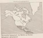 Karte: Myroxylon Balsamum
