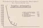 Schema: Angelica Archangelica