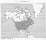 Karte 052. Baptisia tinctoria.