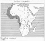 Karte 066. Physostigma venenosum.