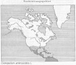 Karte 093. Chenopodium ambrosioides.