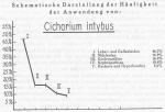 Schema 026. Anwendung von Cichorium intybus.