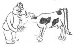 Kuva 26. Lehmälle herkku.