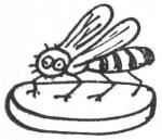Kuva 148. Mehiläisen hätäruokaa.