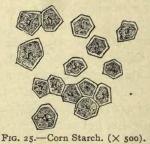 Fig. 25. Corn starch (x 500)