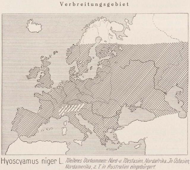 Madaus Karte Hyoscyamus Niger