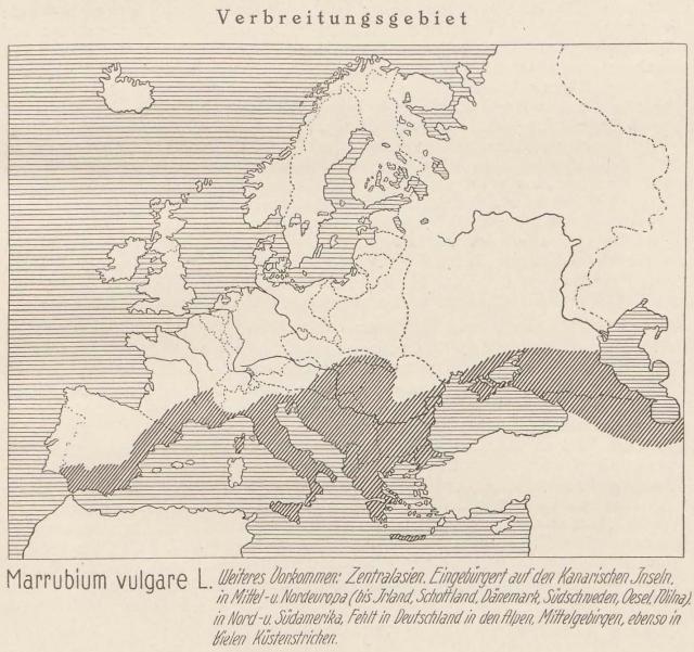 Madaus Karte Marrubium Vulgare