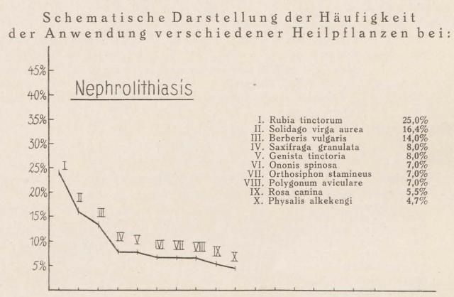 Madaus Schema Nephrolithiasis Rubia Tinc