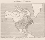 Madaus Karte Robinia Pseudacacia