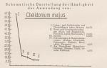 Madaus Schema Chelidonium Majus