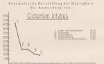 Madaus Schema Cichorium Intybus